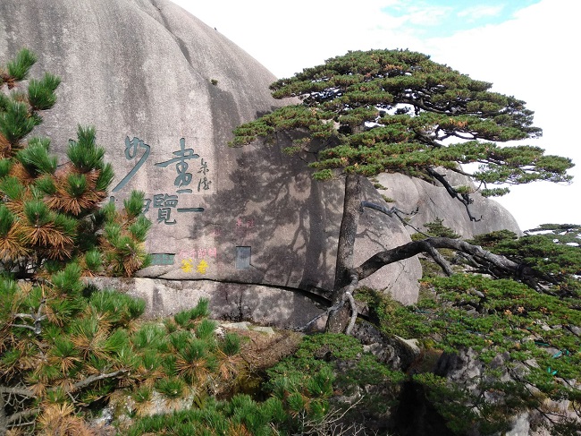 日登黃山，夜醉溫泉！